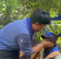 Viral Aksi Perploncoan di Komunitas Pencinta Alam Sulut, Anggota Baru Ditampar dan Ditendang