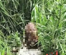 Warga Geger, Temukan Mayat Terbungkus Karung di Sawah