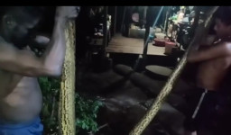 Berangkat Kerja, Pria Ini Dililit Anaconda hingga Tewas