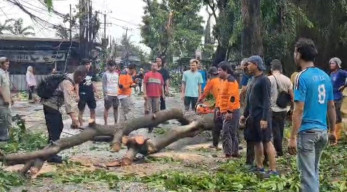 Angin Puting Beliung di Depok: Kios UMKM Porak-poranda, Pohon Tumbang Tutupi Jalan