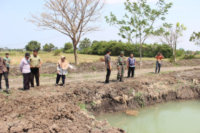 Satgas TMMD ke-126 Kodim 0816/Sidoarjo Bersama Dinas Perikanan Tinjau Kolam Ikan di Desa Kedondong