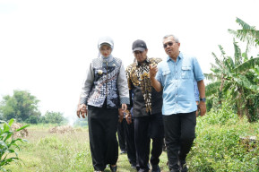 Mbak Wali Tinjau Kesiapan Lahan untuk Urban Farming di Dua Kelurahan