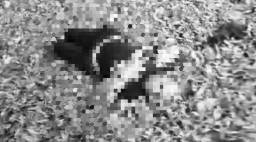 Mayat di Pinggir Tol Jagorawi, ternyata Driver Taksi Online