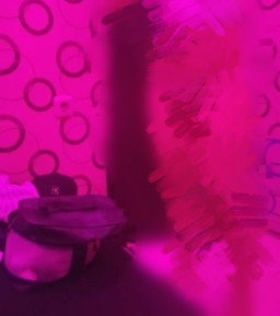 Disparbud Kota Bekasi Pelototi Segitiga Massage and SPA yang Diduga Sediakan Layanan Plus-Plus