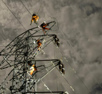 Langkah Sigap PLN UIT JBM Amankan Jaringan SUTT 150 kV Kebonagung–Sengkaling