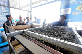 Rutan Kelas I Depok Terapkan Budidaya Maggot, Efektif Kurangi Sampah Organik