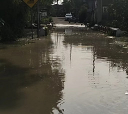 Luapan Kali Lamong, Genangi Jembatan dan Lahan Pertanian di Mojokerto