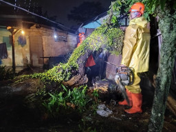 Bencana Hidrometeorologi Landa Padang, Warga dan Nelayan Diimbau Waspada