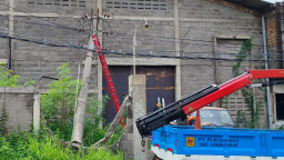 Tiang Listrik Roboh, PLN Lakukan Penggantian Tiang di Jalan Semeru