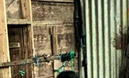 Warga Halmahera Dikejutkan dengan Mayat Pria yang Tergantung