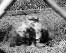 Mencoba Kabur dari Penjara, Napi Kesetrum Pagar Listrik