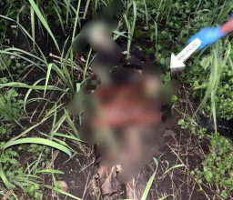 Mayat tanpa Identitas Ditemukan di Perkebunan