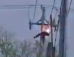 Panjat Tiang Listrik demi Tangkap Tawon, Pria Ini Tewas Disengat Listrik