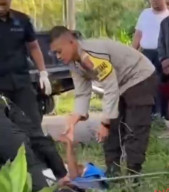 Dua Orang Tewas Setelah Motor NMAX Tabrak Pohon Trembesi dan Akasia