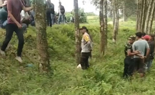 Pelajar 15 Tahun Ditemukan Tewas di Perkebunan Bridgestone