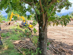 Pembersihan Material Banjir di Sungai Batang Kabung Ganting Dikebut