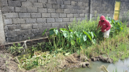 DLH Madiun Soroti Dugaan Limbah SPPG Cemari Sawah, Pengelola Diminta Patuhi Aturan Lingkungan