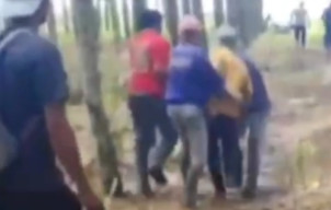 Kades di Lampung Meninggal Dunia Akibat Diinjak Gajah