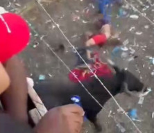 Pria Ini Kritis Akibat Ditanduk Banteng