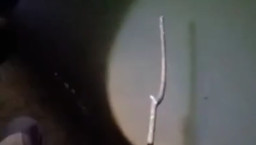 Diputus Pacar, Wanita Ini Ceburkan Diri ke Tandon