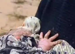 Bayi Ditemukan di Sungai Pinang, Polisi Amankan Pelaku Dalam Satu Jam