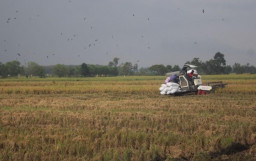 Bantuan Alsintan  Jombang Diduga Digadaikan