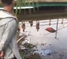 Sosok Mayat di Depan Halte Gegerkan Warga