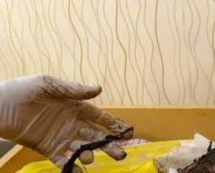 Dikira Bangkai Hewan ternyata Jasad Bayi