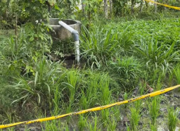 Petani di Ponorogo Tewas Diduga Tersengat Listrik Mesin Sumur Sibel