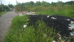 Limbah Menumpuk di Pinggir Jalan, Kades dan DLH Gresik Tak Tahu?