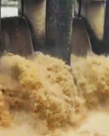 Kawasan Puncak Bogor Diguyur Hujan Lebat, Bendungan Katulampa Berstatus Siaga