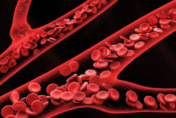  Kadar Hemoglobin Terlalu Tinggi, Ini Penyebabnya