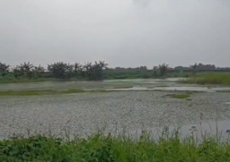 Dalam 3 Hari, Dua Lansia Tenggelam di Bekas Galian C di Banyuwangi