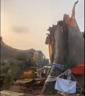 Pohon Besar Tumbang Dekat Pasar, Korban Tewas Berjatuhan