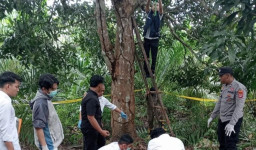 Diduga Gantung Diri, Mayat Ditemukan di Kebun Sawit