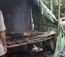 Menolak saat Disuruh Cari Rumput untuk Pakan Sapi, Anak Dibakar Ibu Kandung