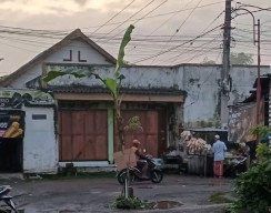 Warga Sidomulyo Protes Jalan Rusak Bertahun-tahun, Dengan Menanam Pohon Pisang 