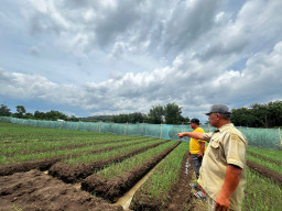 Dukung Program Nasional, Pemdes Jenangan Ponorogo Dorong Sektor Ketahanan Pangan