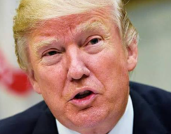 MA Batalkan Kebijakan Tarif  Globalnya, Trump: Hakim Bodoh!