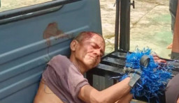 Terduga ODGJ Bacok Pasturi saat Berkebun