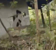 Kakek di Karangmojo Ditemukan Meninggal Membusuk di Dalam Rumah