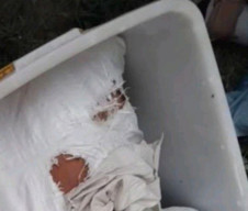 Mayat Dalam Boks Kontainer Plastik Gegerkan Warga Medan