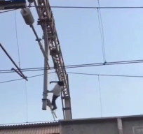 Pria Panjat Tiang Listrik Bikin Kereta Api Telat 1,5 Jam