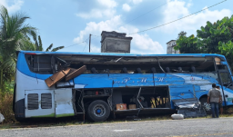 Tabrakan Maut Bus PMH vs Truck Coltdiesel di Lintas Timur Pangkalan Lesung, 4 Tewas 
