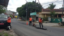 Jelang Lebaran, Pemkab Jember Kebut  Penutupan Jalan Berlubang