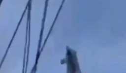 Pelajar SMA Coba Lompat dari Atas Tower, Warga Heboh