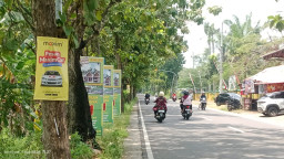 Penertiban Satpol PP Kabupaten Madiun Dinilai Tebang Pilih, Reklame Bodong Masih Banyak Terpasang di Pohon