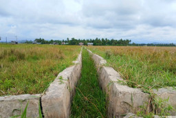 Warga Jangka Desak Pemkab Bireuen Segera Pulihkan Sawah