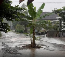 Triwulan I Serapan APBD Ponorogo Baru 25,97 %, Realisasi Infrastruktur Masih Nihil