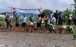 Wali Kota Malang Pimpin Percepatan Tanam Padi Antisipasi Dampak El Nino